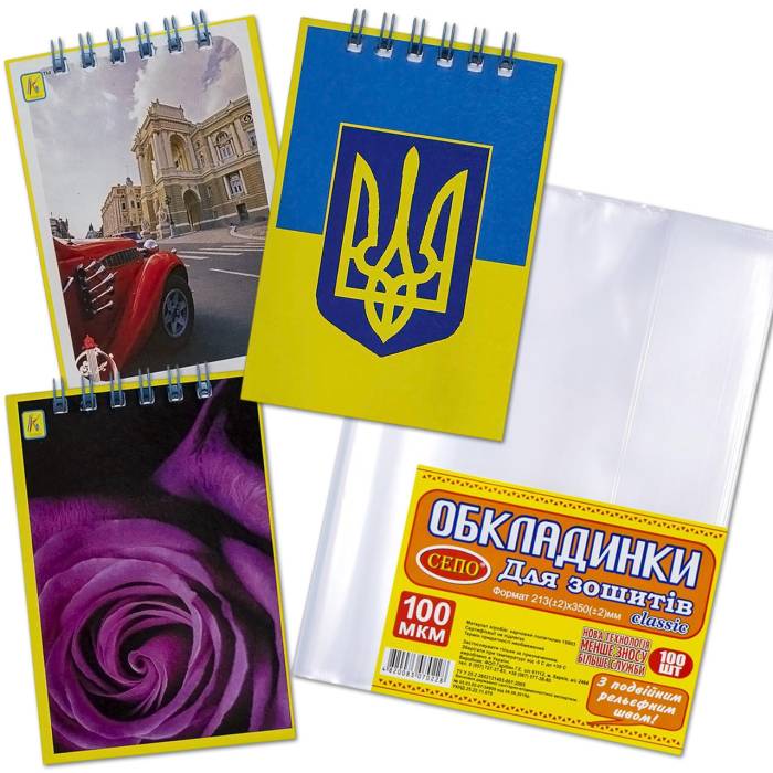 Шкільний набір канцтоварів «Економ Люкс» Дівчинка 2 клас
